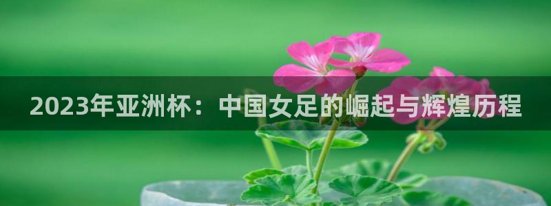 世界杯今日赛程直播:2023年亚洲杯:中国女足的崛起与辉煌历程