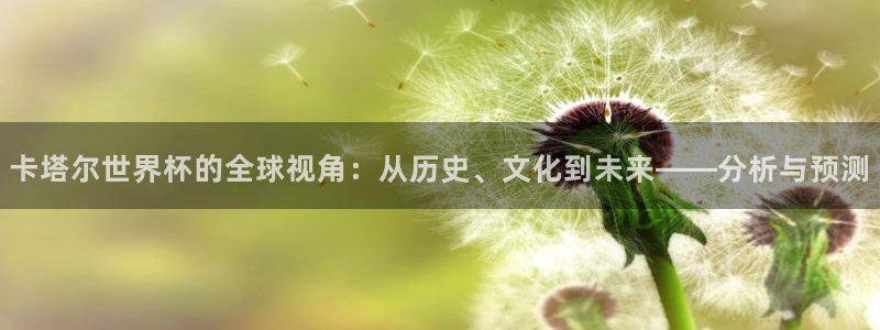 免费足球比赛直播高清:卡塔尔世界杯的全球视角:从历史、文化到未来——分析与预测