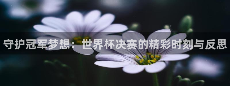 世界杯直播网:守护冠军梦想:世界杯决赛的精彩时刻与反思