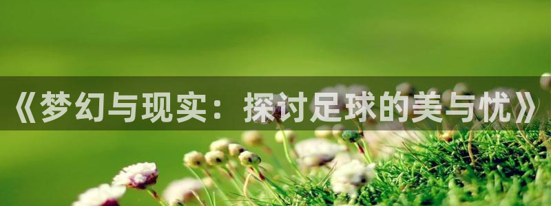 世界杯预选赛赛程:《梦幻与现实:探讨足球的美与忧》