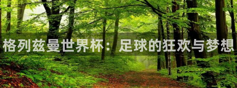 2026世界杯赛程:格列兹曼世界杯:足球的狂欢与梦想